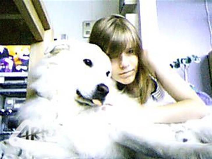 Blanding af racer Bonzo billede 3