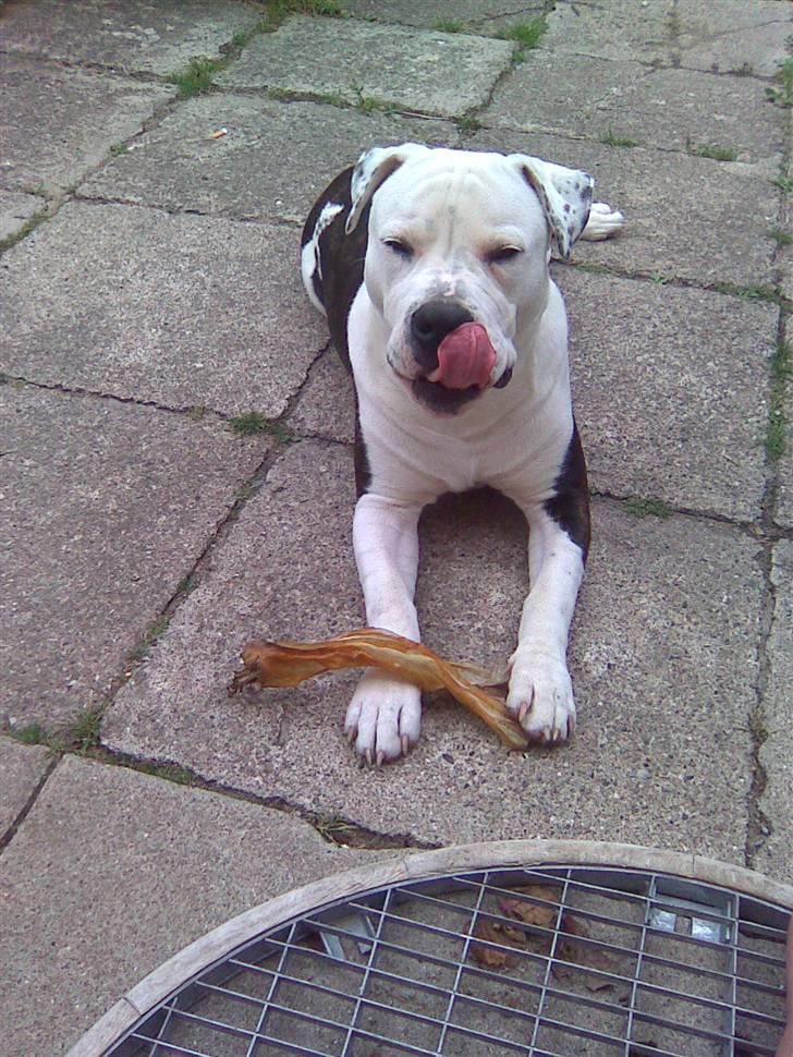 Blanding af racer Armani <3 billede 11