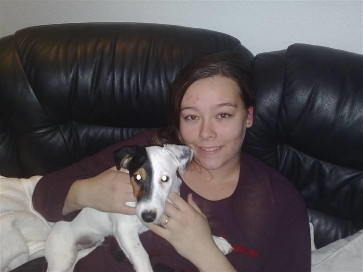 Jack russell terrier Morgan - Mig og min mor billede 18