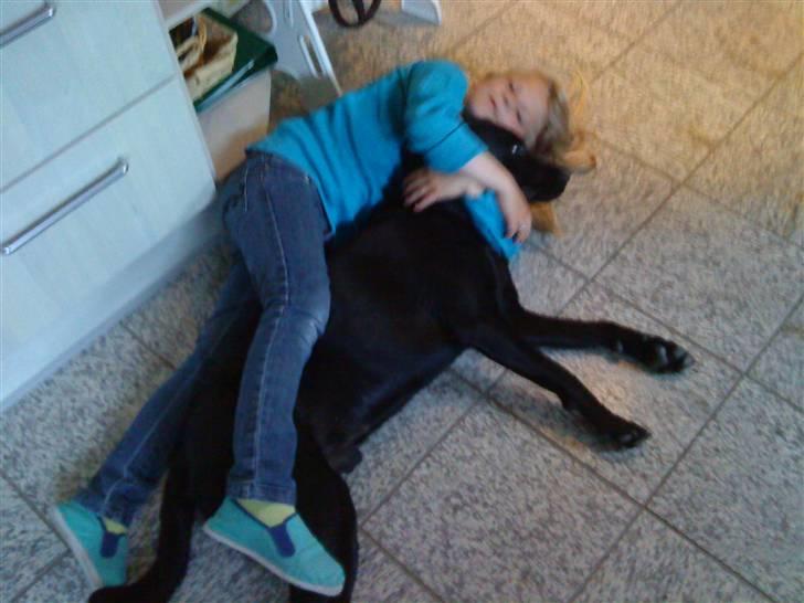 Labrador retriever oscar - mig og oscar som ligger og slapper af......dejligt billede 2