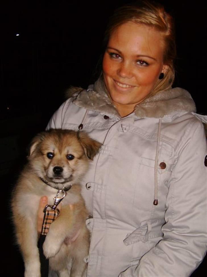 Blanding af racer Cody - Sammen med "Mor".. Første gang hun ser mig, efter jeg blev hentet..! billede 4