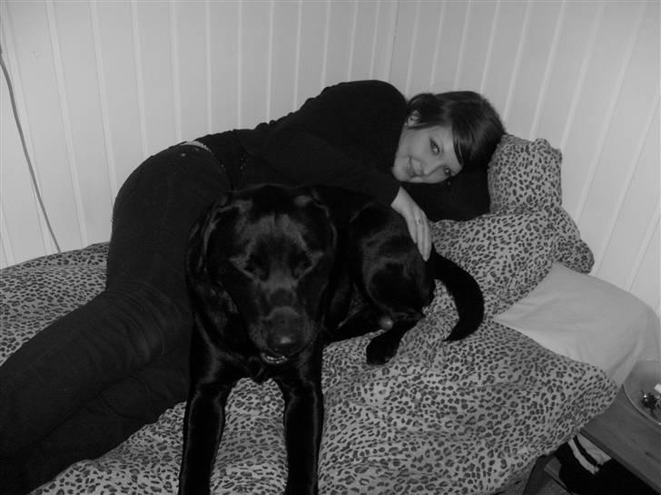 Labrador retriever Benji - benji sammen med min søster.  billede 18