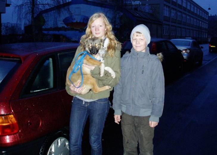 Blanding af racer Coda - Vi har lige hentet Coda og er på vej hjem billede 2