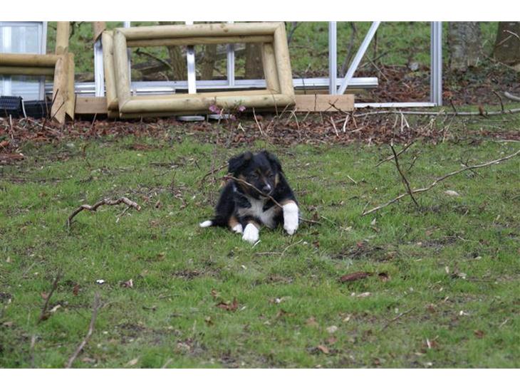 {{currentPhoto.altText}} billede {{currentPhoto.number}}