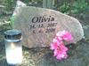 Chihuahua Olivia R.I.P