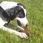 Blanding af racer basse