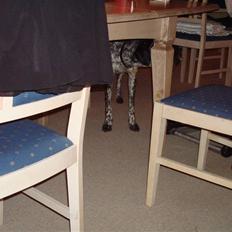 Blanding af racer Balou - Rip ????