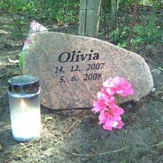 Chihuahua Olivia R.I.P