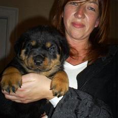 Rottweiler Ziva aka "pølse"