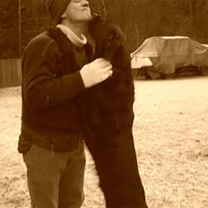 Blanding af racer buster