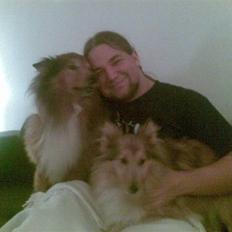 Shetland sheepdog Bia