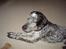 Blanding af racer Balou - Rip ????