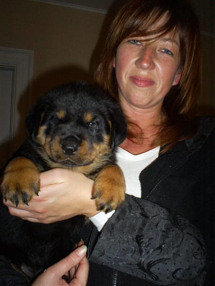 Rottweiler Ziva aka "pølse" - Ziva og jeg billede 3