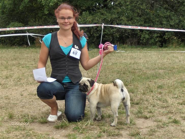 Mops BOTHILDE billede 8