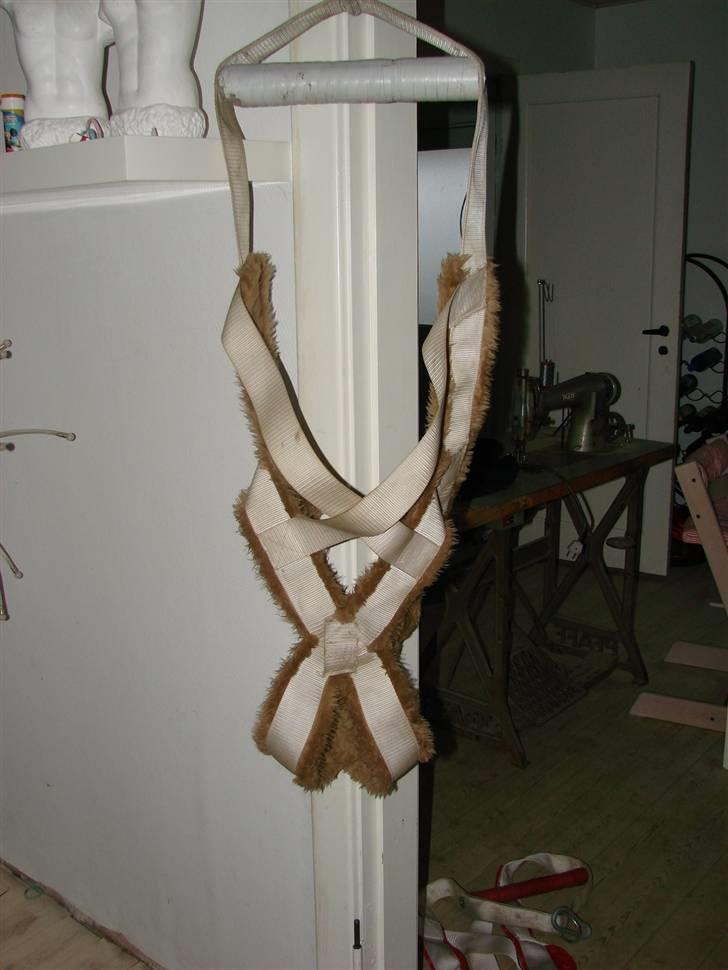 Amerikansk bulldog Nemo billede 14