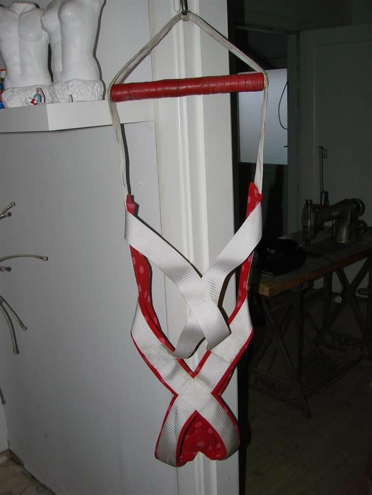 Amerikansk bulldog Nemo billede 15