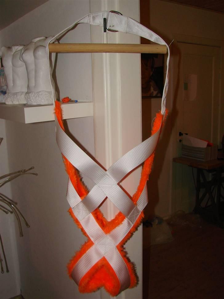 Amerikansk bulldog Nemo billede 17