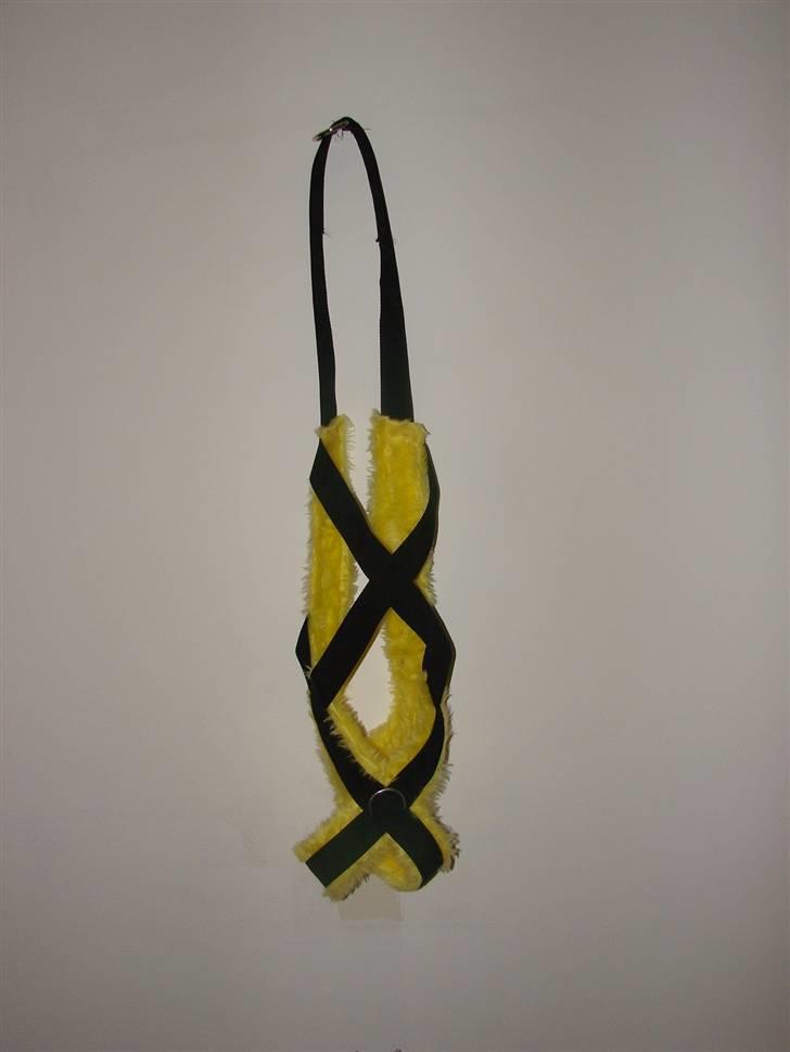 Amerikansk bulldog Nemo billede 18