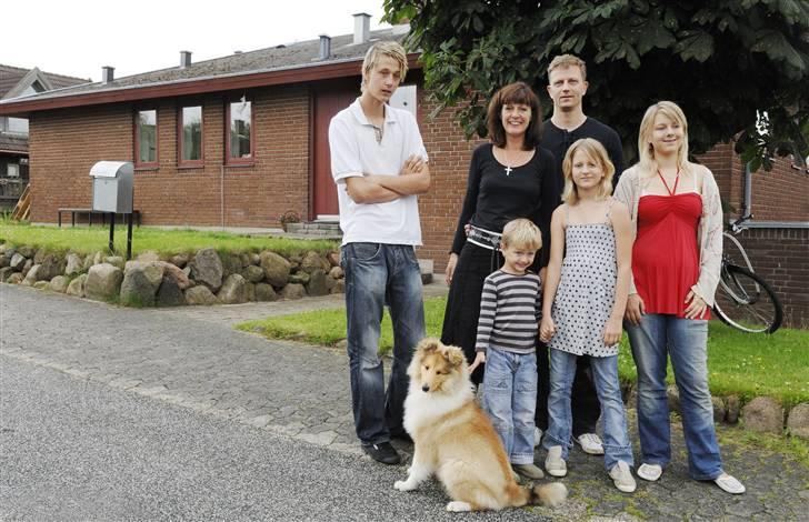 Collie langhåret Simba - familie foto (Thuller er den yngste pige hved siden af den lille dreng, og den store pige) billede 10