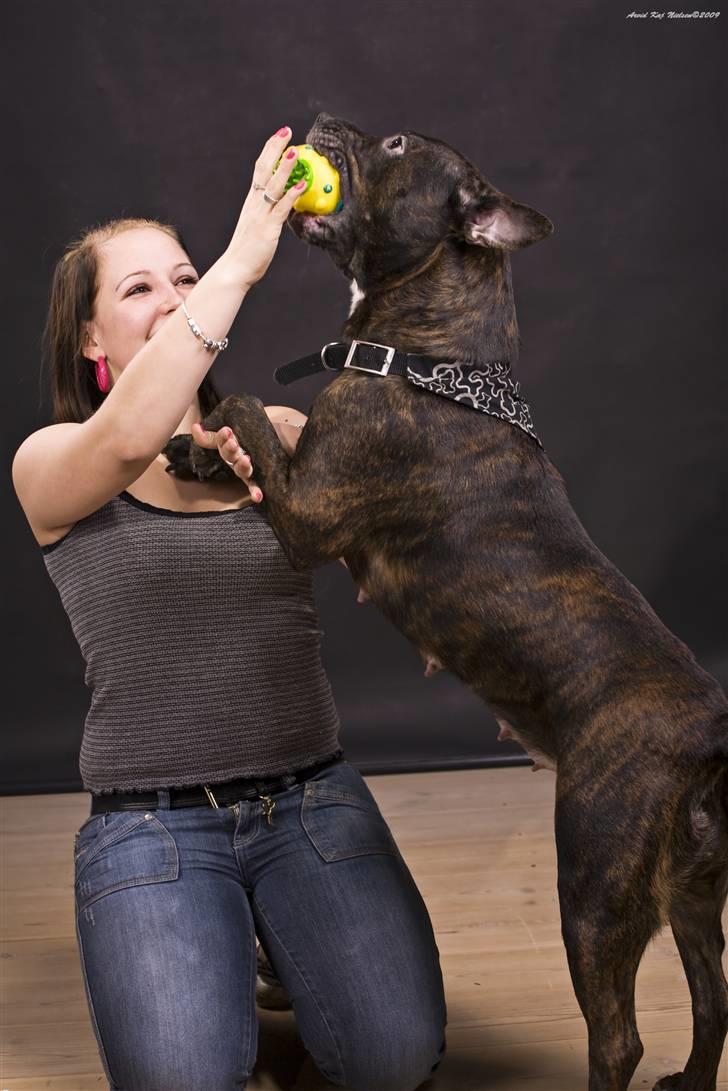 Blanding af racer Nynne R.I.P. - Det er nu hyggeligt alligevel. billede 18