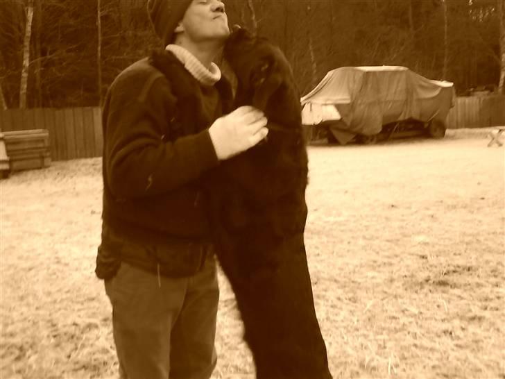 Blanding af racer buster - et lille tricks! jeg elsker dig.. billede 3