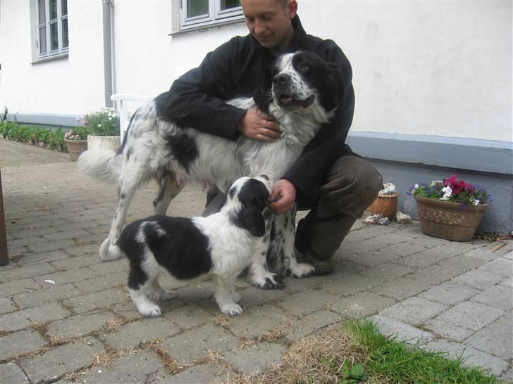 Blanding af racer Magnus - Magnus sammen med sin mor Bertha billede 2