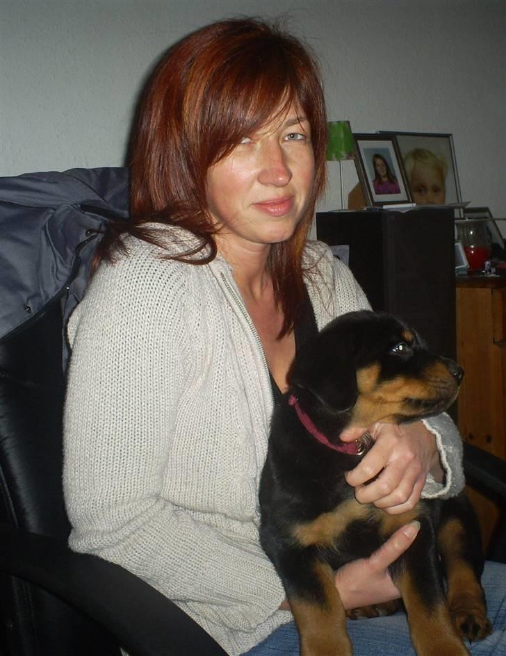 Rottweiler Ziva aka "pølse" - 12/02/09 billede 12