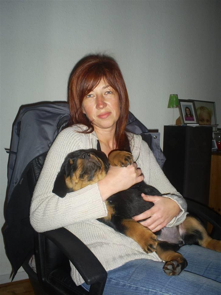 Rottweiler Ziva aka "pølse" billede 14