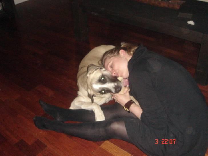 Kangal Aicha - Vi deler kødben :-) billede 7