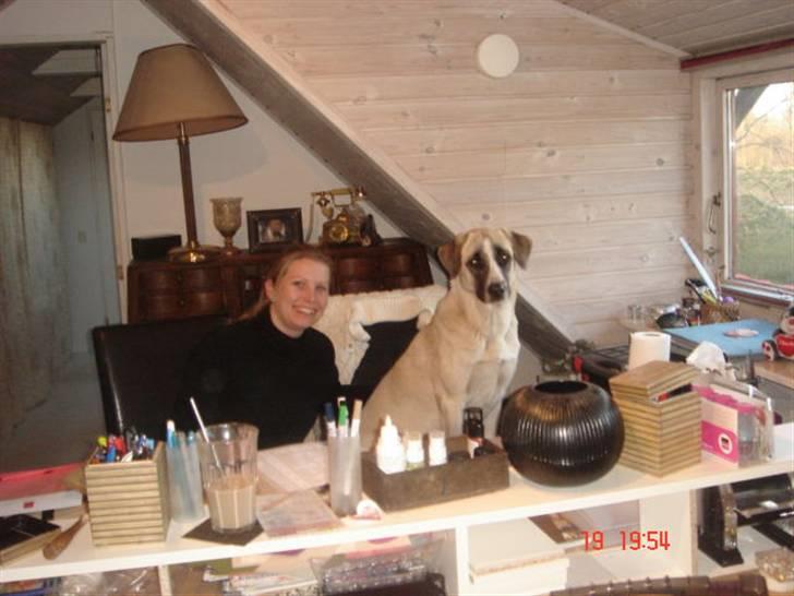Kangal Aicha - Man skal da være med til det hele - også når der arbejdes på kontoret billede 9