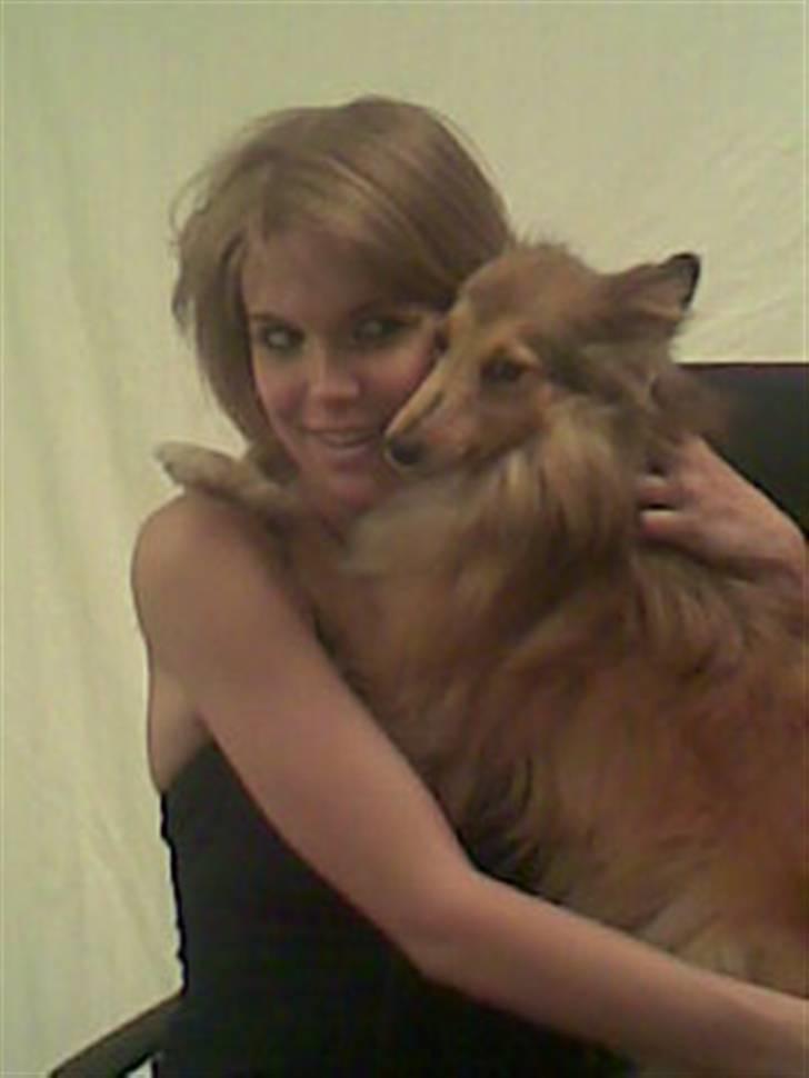 Shetland sheepdog Bia - Bia giver lige mor en krammer  billede 5