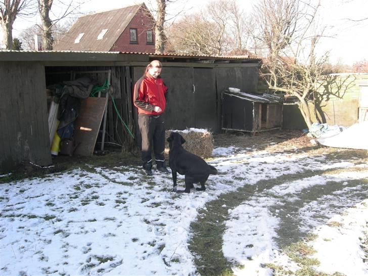 Blanding af racer Max - Får jeg en gobber nu mor??? (godbid (:  ) billede 15