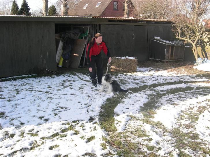 Blanding af racer Daisy - så er vi klar til start (: billede 14