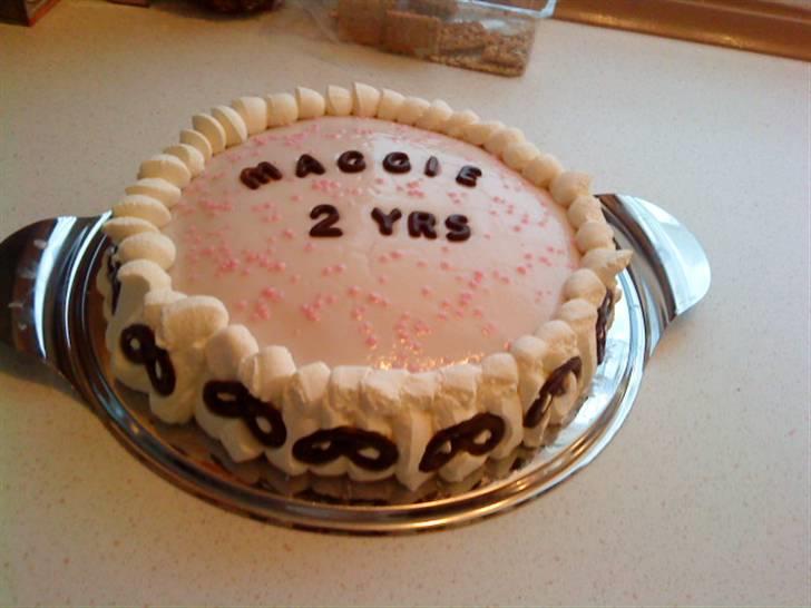 Engelsk bulldog Maggie - Selvfølgelig skal man da have lagkage på sin fødselsdag!! billede 3