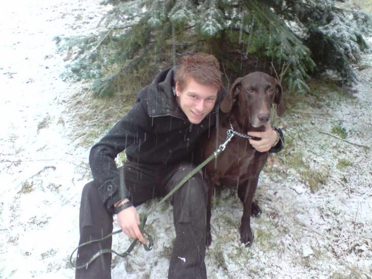 Korthåret hønsehund Tyson - tyson & mig :) billede 12