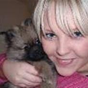 Pomeranian Balou Sylvester