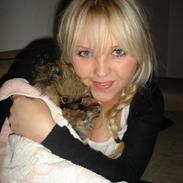 Pomeranian Balou Sylvester