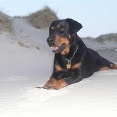 Blanding af racer Emma