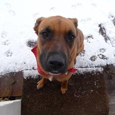 Blanding af racer Nynne R.I.P