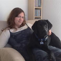 Labrador retriever Scooby