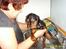 Cavalier king charles spaniel cæsar d 2 - cæsars første bad