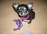 Chihuahua Chilli