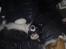 Border collie be my magtic (makker)