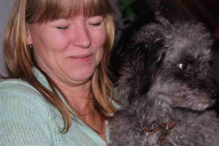 Blanding af racer Perles Bamse - Heidi og Bamse (: . Bamses nye mor :oD billede 5