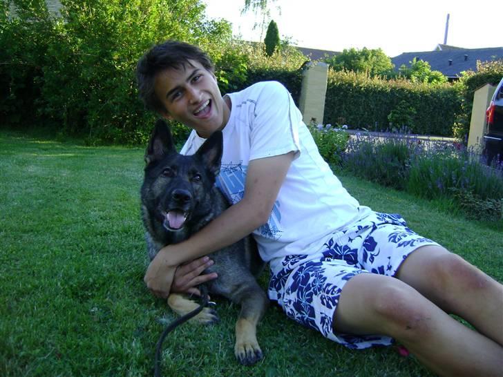 Schæferhund Pri-Wat Kassi billede 3