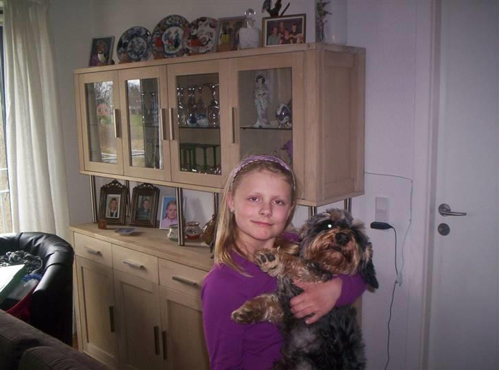 Gravhund Cæsar - Ihh nu holder hun mig IGEN billede 1