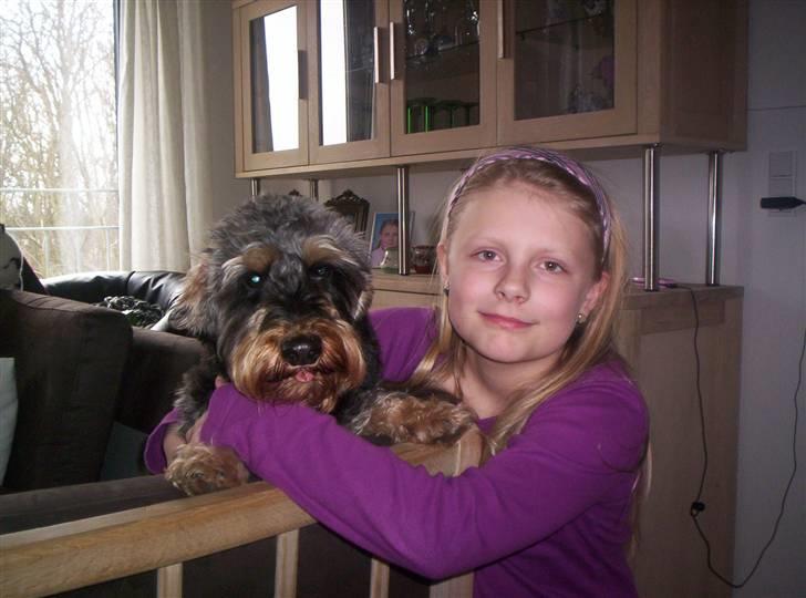 Gravhund Cæsar - Mig og min veninde billede 2