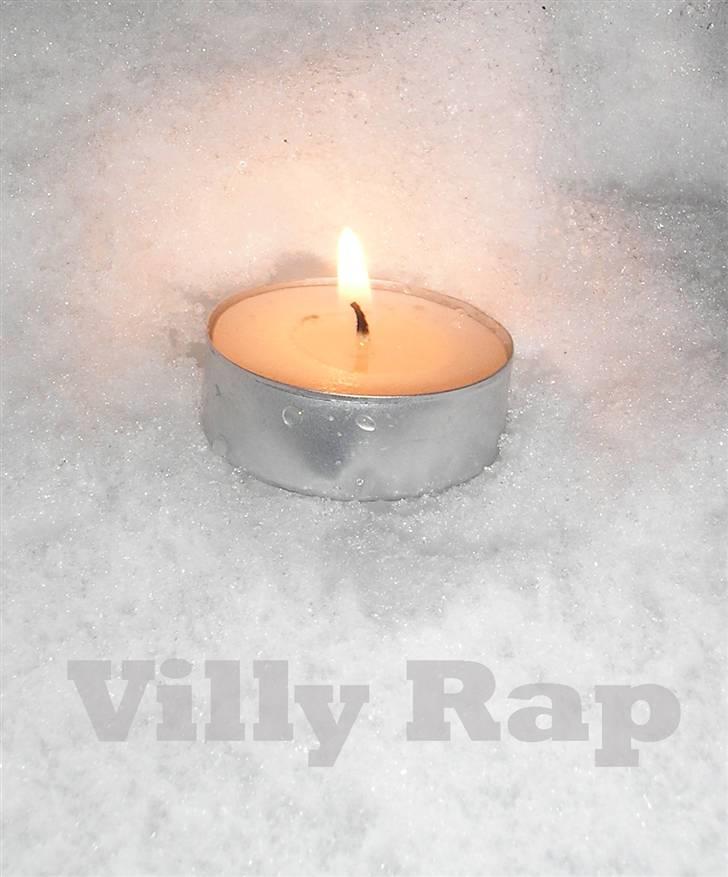 Dansk svensk gaardhund Villy Rap ¤ 22 febr.2006¤ billede 17