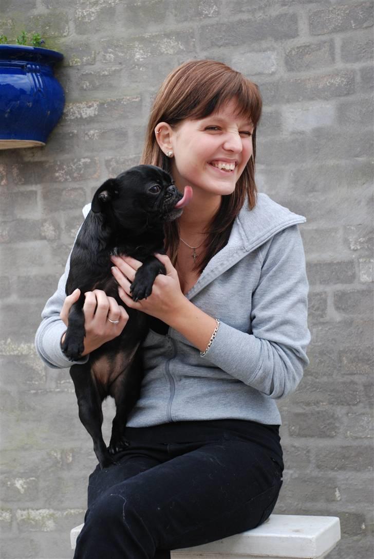 Mops emma *himmelhund* billede 20