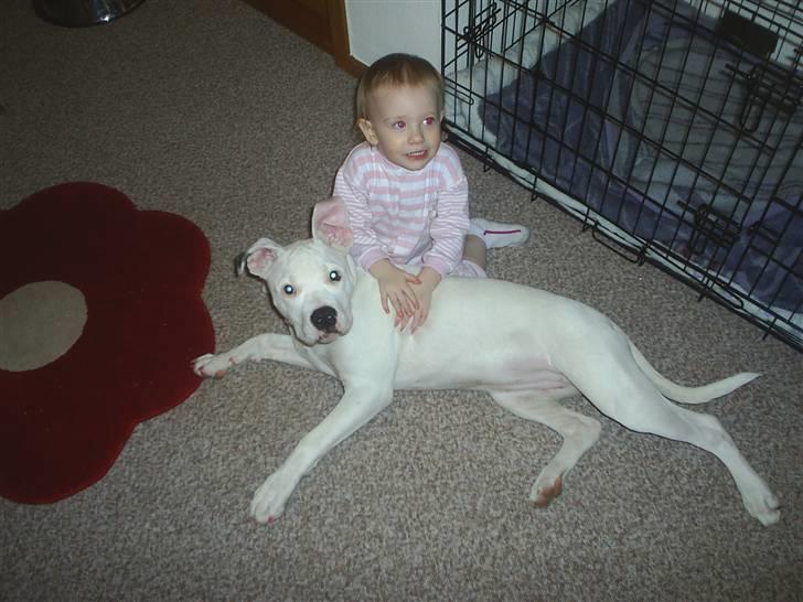 Blanding af racer Ronja billede 4